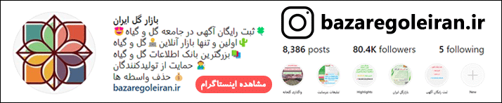 اینستاگرام بازار گل ایران